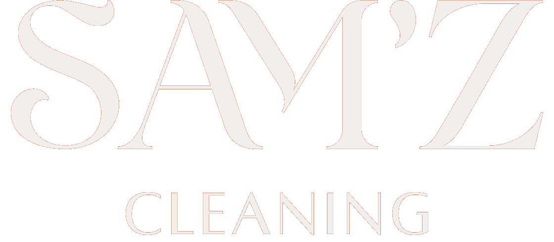Cleaning logo